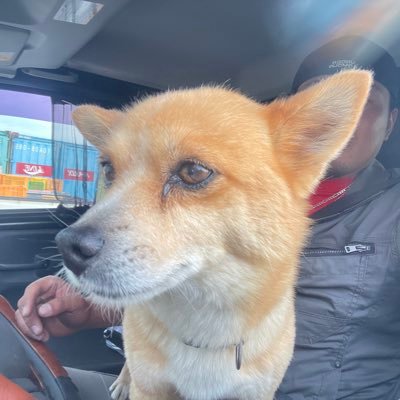 ykZHtTooSKEy5HY's profile picture. 