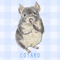 mocomoco_mocotaro (@cotaro0430) 's Twitter Profile