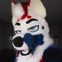 Pup Tauri 🐾💙❤️🤍 on BLUESKY (@puptauri) 's Twitter Profile