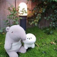 ちかほ@起立性調節障害 (@chikaho_od) 's Twitter Profile Photo ちかほ@起立性調節障害 (@chikaho_od) 's Twitter Profile Photo