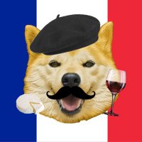 Neiro FRANCE 👊⛽️ (@neirowooffr) 's Twitter Profile