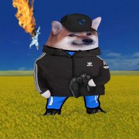 windbreaker (@windbreakfella) 's Twitter Profile Photo windbreaker (@windbreakfella) 's Twitter Profile Photo
