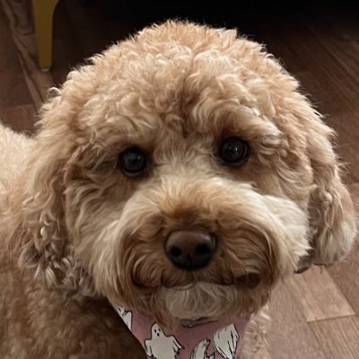 RubyTubee Profile