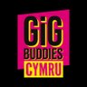 GigBuddiesCymru's profile picture. We match adults with a learning disability and/or autism in Wales with volunteers who share the same interests so they can go to gigs and events together.