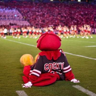 HeelsandP's profile picture. Here for the Gamecocks, cute dogs and true crime.