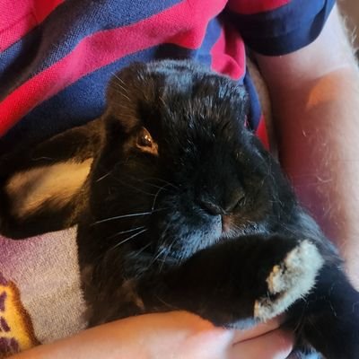 waterbunni's profile picture. she/her | 🍒 | INFP | 4w5