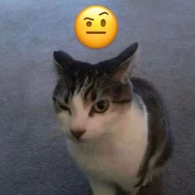 Eriycatさんのプロフィール画像