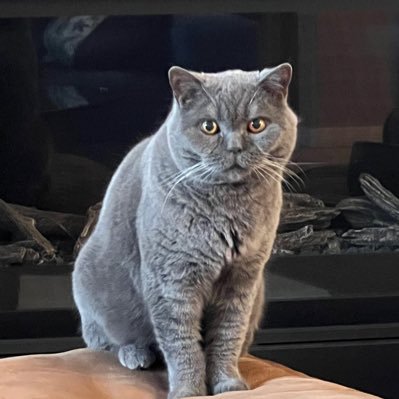 Choe64560Choe's profile picture. 