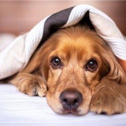 副業で安定した収入を得る方法を発信中。副業を始めたい人にお得な情報をお届け。少額ですがプレゼント企画もしています♬ なくなり次第終了▶ https://t.co/EOO7vJAKOI