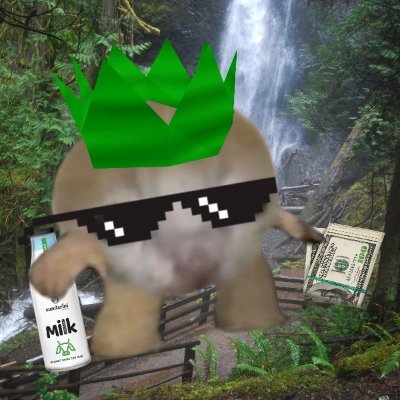 $mini Maxi and eventual millionaire. Memes are the future of finance AND faster for retirement 🫰👌