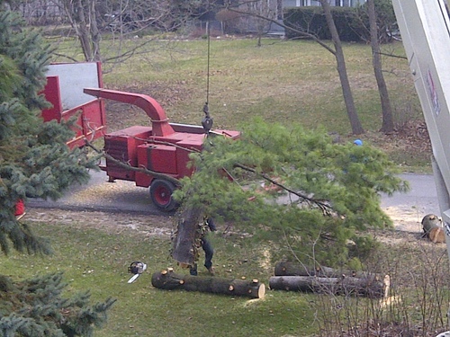 Skilled, respected, licensed, certified, and insured tree service company serving the Chicagoland area. Call (630) 440-5663 for a free estimate today!