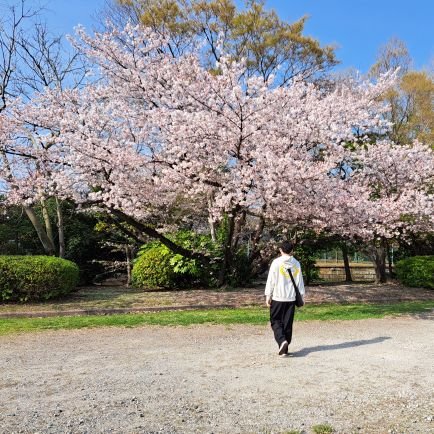 tata_chemistry's profile picture. D1 / Physical Organic Chemistry