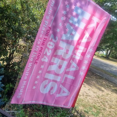 NakiaLady's profile picture. #Resister #BlueTsunami #VoteBlue Voting is my BlackJob
rebuilding my account @ladynak
"WE ARE NOT GOING BACK!"