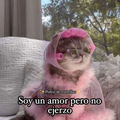 ConitaaSt's profile picture. toxi twitter