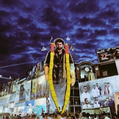 jeshvi's profile picture. 