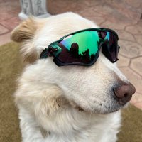 sohju/kev (@sohjukev) 's Twitter Profile