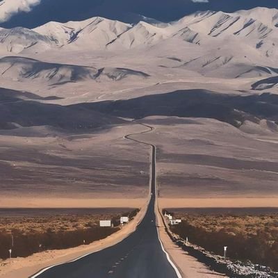 BakrySalem3's profile picture. dentistologist 🦷