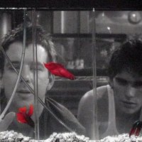 Revmir (@renatocurcho) Twitter profile photo