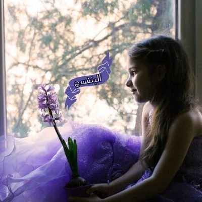 عشـق آلبنفسـج💜 Profile