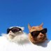 Puchy Catto (@puchycatto) Twitter profile photo Puchy Catto (@puchycatto) Twitter profile photo