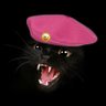 Midnightpurrs's profile picture. Off the streets now, and a proud member of #wlf and #pinkangels. Promoted to #WLF10thBattalion 2023-03-31.