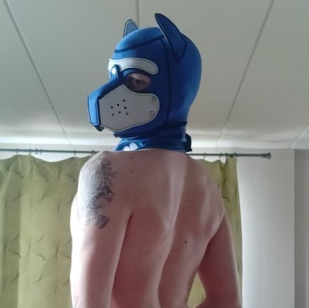 AD of Amaroq~
You can expect lewd art , pics , pup play , murrsuiting content and more ~