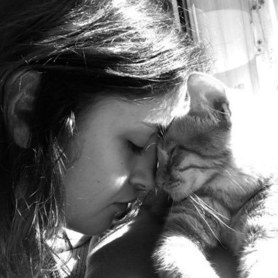 dilankemal1's profile picture. 