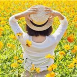 副業の成功法を紹介中。副業を始めてみたい人に役立つ情報を提供。多少ですが現金給付企画も実施中♬ なくなり次第終了▶ https://t.co/BIQ9S67dy4