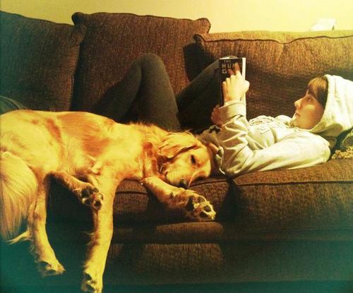 secndbreakfast's profile picture. 