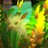 youor0105's profile image