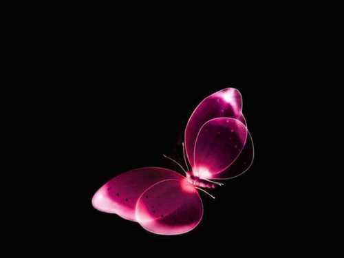 MVanDeSteeg's profile picture. 