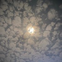 عشريني اسمر اموت في الحنان (@gags99864425) Twitter profile photo