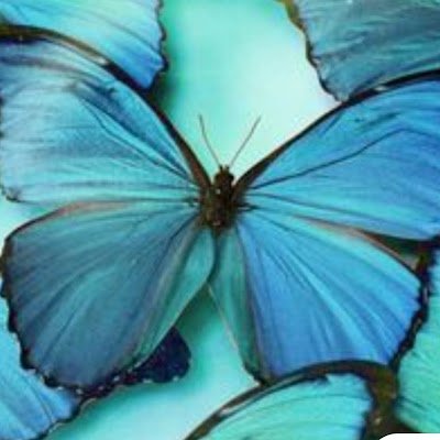 LeontinSte50355's profile picture. 