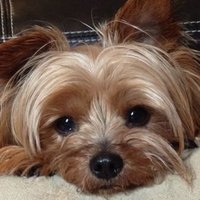 Asia (@monika1549158) 's Twitter Profile Photo