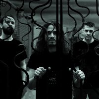 Trip Villain (@tripvillain) 's Twitter Profile