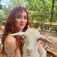 Reeeey (@midwestslayers) 's Twitter Profile