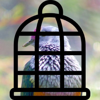 FreeTackwin's profile picture. L'oiseau volera de nouveau #JeSuisTackwin