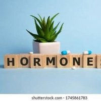 MTF HORMONES THERAPY (@sissylifestyl) 's Twitter Profile Photo
