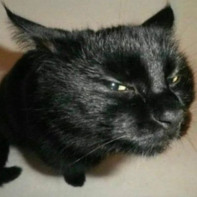 iiiiiissssssa0's profile picture. 극악 뇨타충