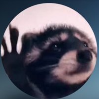 Pedro Raccoon $GINGER (@gingerraccoon) 's Twitter Profile Photo Pedro Raccoon $GINGER (@gingerraccoon) 's Twitter Profile Photo