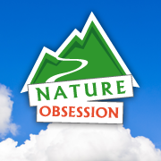 NatureObsession's profile picture. 