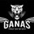 FueledByGanas's profile image