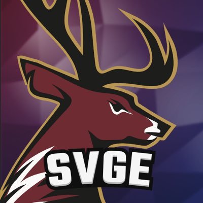 SVGE ๐ฆ Profile