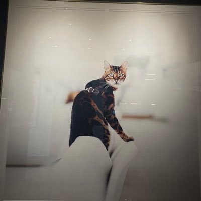 teamainews's profile picture. nfts are a scam and 99% of crypto the same but it’s 100% the future