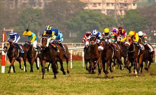 Thoroughbred Racing and Breeding News - India