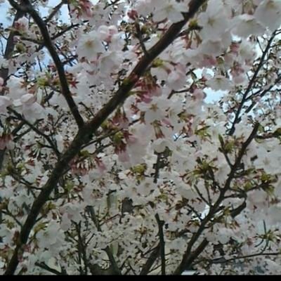 風景の投稿や思ったこととかつぶやいて行こうと思います(*'▽'*)
好きなドラマやアニメ、そして地元出雲の投稿もしています。
現在DMでの返信はしていません。
https://t.co/J6NcMCY8mjこちらも見てね✨
(動画はこちらに🆙してます🎵)
