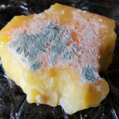OldeCheese0826's profile picture. MAGA, Patriot, USA