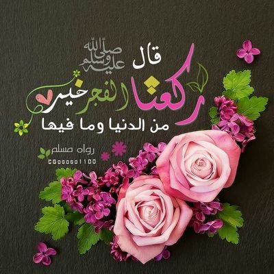 وكل حب واحترام وتقدير لكل للجميع المشرفين😘
الحمدلله على كل حال ❤️
أسأل الله لي ولكم التوفيق والنجاح الدائم 🤲🤲💛💪💪💪