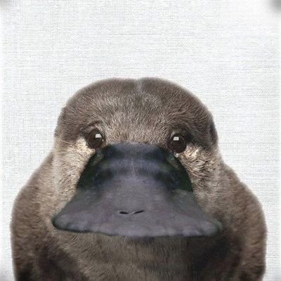 CtoBill's profile picture. 