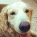 Rita Muller - @ritalodmuller - Twitter